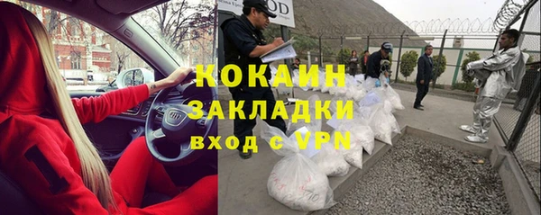 стаф Белокуриха